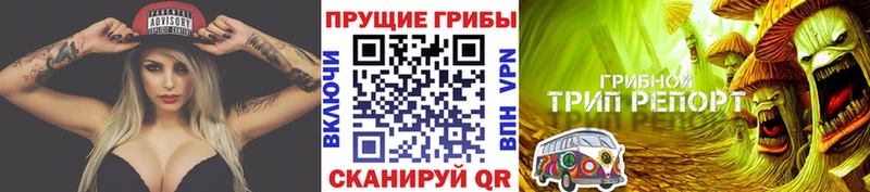 купить закладку  Волжский  Псилоцибиновые грибы GOLDEN TEACHER 