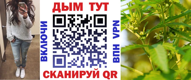 купить   Волжский  Марихуана сатива 